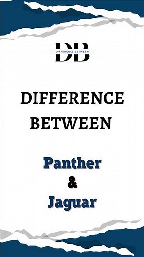 Difference Between Panther and Jaguar | Panther vs. Jaguar - Spot the Differences!