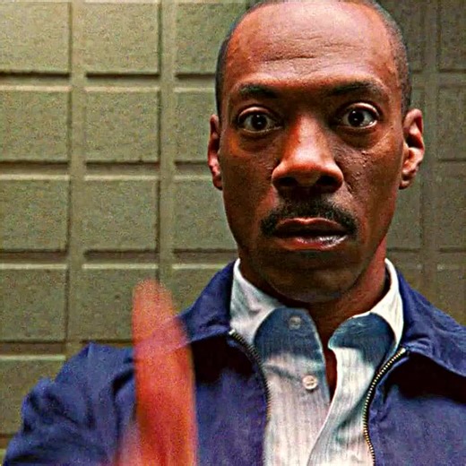 Exploring the World of Film: A Cinematic Journey