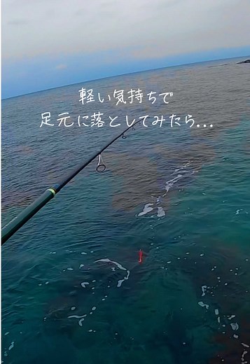 穏やかな海で釣り—大物アイナメをゲット！