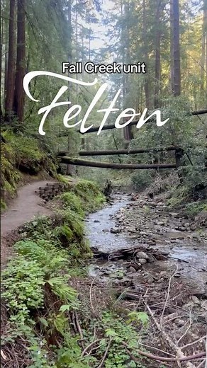 Hiking in #Felton #California, ideal for #family #nature #travel #us #usa
