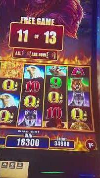 Buffalo free games -Hard Rock #slot Tampa