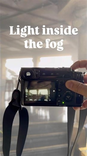 Backlit by fog. Light holds the frame. Silence fills the space.