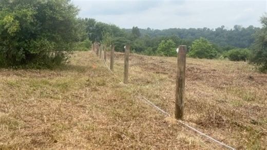 55 reactions · 14 shares | Urgent update on the status of the move to our new beautiful farm! We need your help! We have an emergency! Please listen to the video! | The Barnyard Sanctuary | Facebook