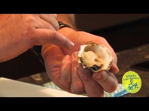 How to shuck an Oyster