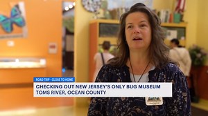 Insect Museum in Toms River highlights bugs' importance