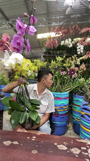 Cảnh nổi bật từ buổi phát trực tiếp. Hotline: 0903177978 (Loan)