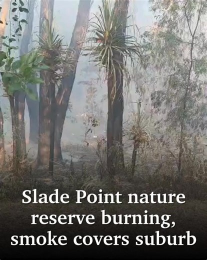 Thick smoke is still covering the southern end of Slade Point, as firefighters engage in back burning to keep it under control. 📍Latest: https://bit.ly/4mRSyVd | Daily Mercury