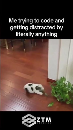 me vs my focus when coding #tech #relatable #shorts