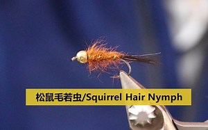 飞蝇绑制 超简单毛钩 松鼠毛若虫 squirrel hair nymph