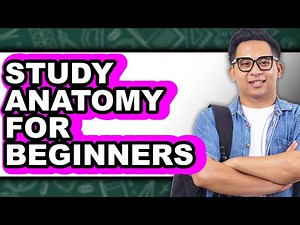 How to Study Anatomy for Beginners - Easy Guide