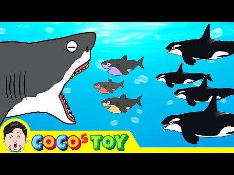 A baby great white shark became a villainㅣsharks & whales for kidsㅣCoCosToy