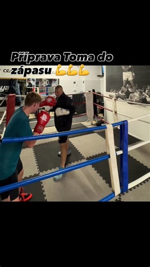 Bull Boxing Team on Reels