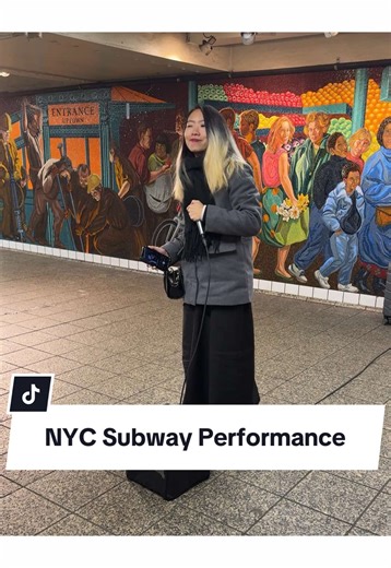 Unexpected Talent: A Powerful Voice from NYC Subway