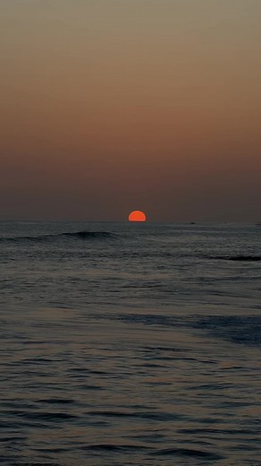 Mono No Aware: The Beauty of Impermanence