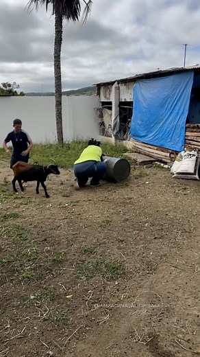 88K views · 85 reactions |  Never, and I mean NEVER, underestimate...