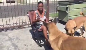 385K views · 10K reactions | Who Let The Dog's Out 藍藍 #AuntieFee #Cooking #Comedy #iamauntiefee | Auntie Fee | Facebook