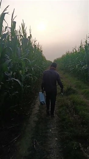 solar panel controller