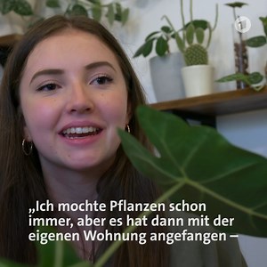 Sie sind hip, sie sind cool und sie sind der Renner in den sozialen Netzwerken: Monstera, Calathea oder Philodendron. Grüne Zimmerpflanzen, die bis vor ein paar Jahren noch als altbackene Oma-Pflanzen galten. Wer von euch hat einen grünen Daumen? 🌿🌵 Die Doku "Urban Jungle" über den Hype – jetzt in der ARD Mediathek: 1.ard.de/urban-jungle-der-hype-um-omas-zimmerpflanzen | ARD Mediathek