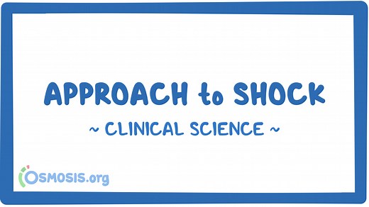 Approach to shock: Video & Meaning | Osmosis