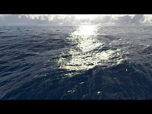 OpenGL Ocean Rendering (fast Fourier transform on the GPU)