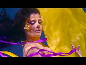 LE CHANT DE L'EAU - STEPHEN SICARD (Logos) -THE BEST - La vallée des Sylphes - Eau De Cristal