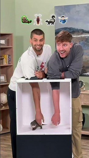 Only MrBeast Can Do This 💸