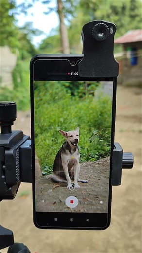 Apexel 18x25 Zoom Lens Telescope For Phone Camera #apexellens #mobilevideography #cameralens #short