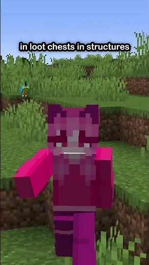 The BEST Food In Minecraft!