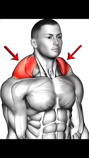 Bodybuilding | Gym | Fitness on Instagram: "11 Best Trapezius Workouts to Build Strength, Size, and Definition for a Powerful Upper Body and Enhanced Posture🔥 . . . . . . #traps #trapezius #back #muscles #gym #gymlife #gymmotivation #workout #workoutoftheday #workoutroutine #sport #fit #personaltrainer #healthy #salute #health #fitness #explore #viral"