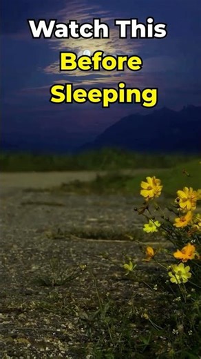 Peaceful Evening Ambience for Sleep