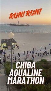 Anyone interested in running Chiba Aqualine Marathon?