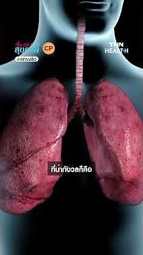 วิจัยชี้ "บุหรี่ไฟฟ้า" ปล่อยโลหะพิษสะสมในปอดโดยตรง อันตรายไม่แพ้บุหรี่มวน : เล่าข่าวสุขภาพ