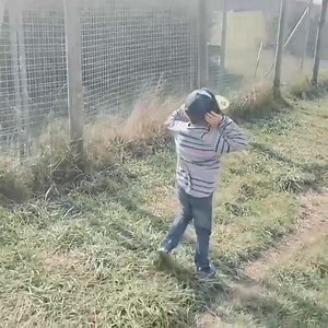 5.1K views · 160 reactions | A Eurofighter Typhoon landing at Norvenich Air Base. The aircraft belongs to Taktisches Luftwaffengeschwader 31 "Boelcke" (Tactical Air Force Wing 31; abbreviated as TaktLwG 31 "B"), formerly known as Jagdbombergeschwader 31 (Fighter-Bomber Wing 31; abbreviated as: JaBoG 31), a fighter-bomber wing of the German Air Force (Luftwaffe). The wing is based in west Germany at Nörvenich Air Base. Video credits : @adam_vr46_58 | Defence Express | Facebook