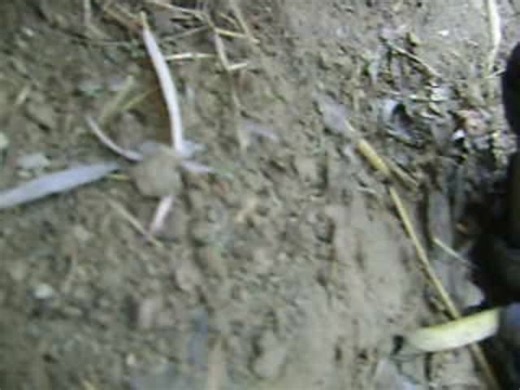 Dansker ved fronten i Ukraine 🇺🇦🇩🇰 on Instagram: "💥 Frontlines of Afghanistan 💥 Dette er fra 2008-2010 hvor S var udsendt til Afghanistan som en del af artikel 5 fra NATO. Her er det optagelser fra S selv og hans enhed. Nationer verden over stod sammen og kæmpede side om side. Mange kom ikke hjem i live eller med ar på sjælen. Ifølge den 🍊🤡 i det hvide hus, så er disse videoer åbenbart ikke fra frontlinjen i Afghanistan, men bagved i sikkerhed. Det kommer fra en mand der 5 gange undveg m