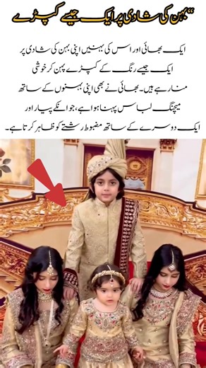 Brothers Twinning at Sister’s Wedding — A Beautiful Family Moment #viralvideo #motivation #duet