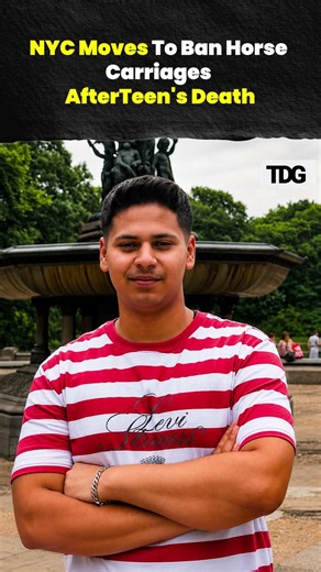 NYC Moves To Ban Horse Carriages | Romanch's Law Gains Momentum After Teen's Death