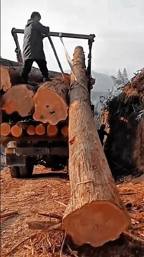 Log Loading Work Tool Using Manual Lifting System #worktool