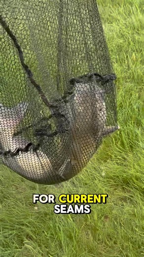Stop Fishing Blind - Find Catfish In 10 Seconds! 🎣 #shorts #fishing