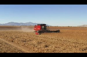 3.3K views · 962 reactions | Regardless of crop conditions or moisture levels, AFS Harvest Command automation is always optimizing for maximum grain savings, unlike some competitive units that just maintain a predetermined harvest setting. | CASE IH | Facebook