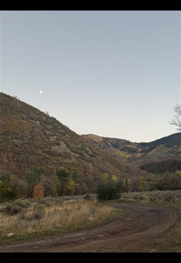 i love me some fall colors #fall #utah #photoshoot #canyon #fyp