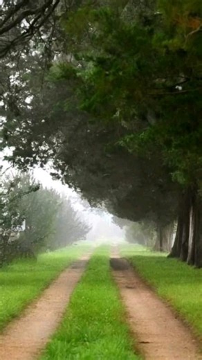 Do you need a new family member for Thanksgiving? Home is where a Santa Rosa Shih Tzu runs to greet you🐾😉 At Santa Rosa Shih Tzu Puppy, we take great pride in providing socialized, vet-checked, healthy puppies to loving homes! We Believe in the Magical Power of Our Puppies🪄✨️🔮 Wiggle, Waggle🐾 Puppy Love, Cynthia & Christopher @Santarosashihtzupuppy_beefarm #doglove #shihtzulove #smalldogs #dogs #shihtzupuppy #shihtzu #shihtzus #puppies #shihtzulovers #thanksgiving #sweet #family #shihtzulov