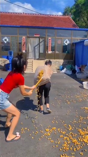 Delicious Dried Hazelnuts | Amazing Farmers at Work #hazrat #shortsvideo