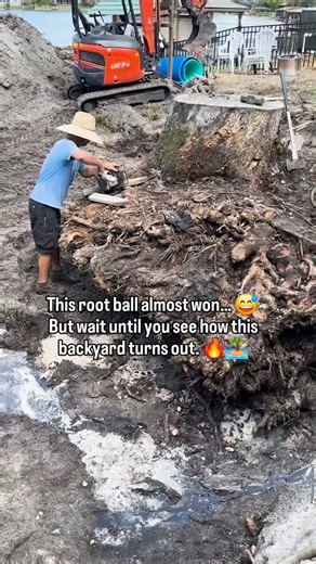 All Custom Pools on Instagram: "This root ball almost won… 😅 But wait until you see how this backyard turns out. 🔥🏝️"