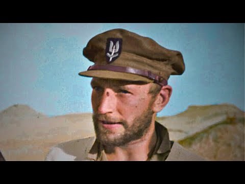 Paddy Mayne: SAS Hero and the Most Terrifying Irishman of WW2