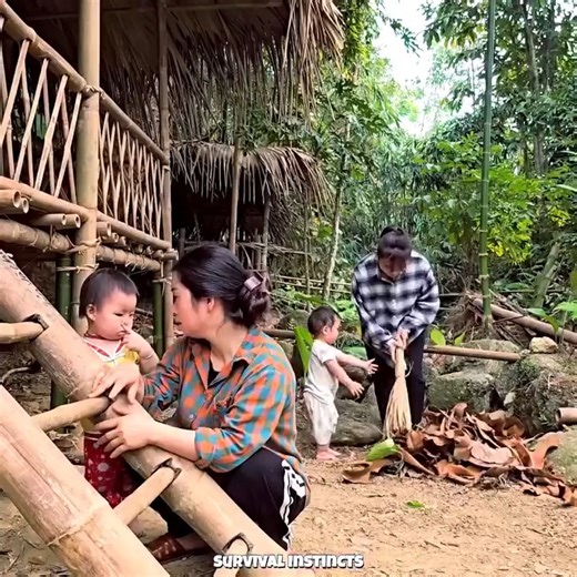 Gifted a Bamboo Forest Home – But What My Ex Left Behind Changed Everything | Riley Logan