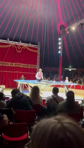 Zirkus Akrobatik Show in Ludwigshafen
