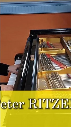 BACH -RITZEN Choral Prelude Jezus bleibet meine Freude (Free transcription by Peter Ritzen)