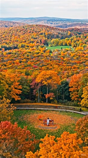 #viralmalaysia #likes #trend #instalike #memes #fashion #post #viralkan #viralphoto #viralpage #phot