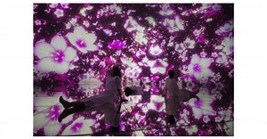 teamLab Planets, a “Museum Where You Walk through Water” in Tokyo, Is Transformed by Cherry Blossoms for a Limited Time This Spring. On View from March 1, 2020.