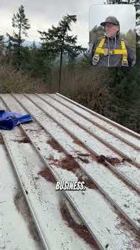 TREE TOP REPAIR PART 1